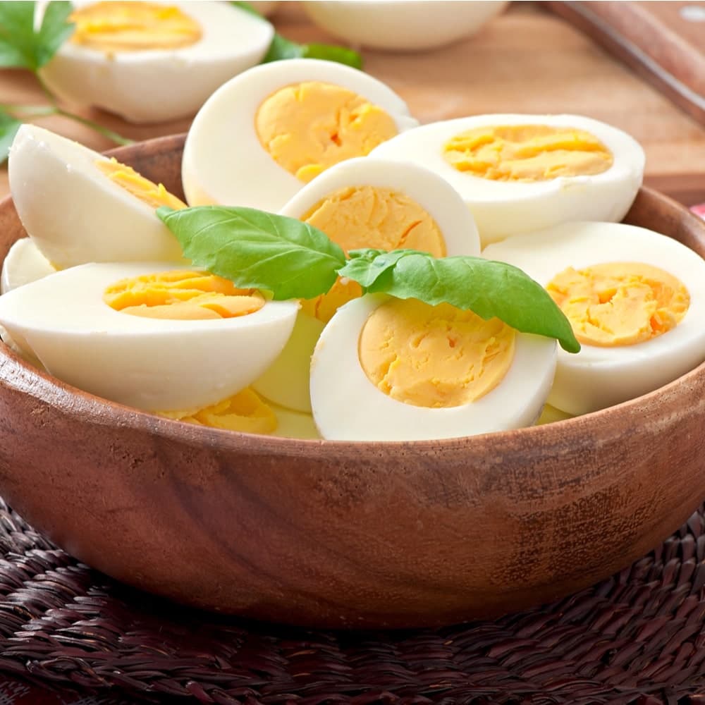 Egg
